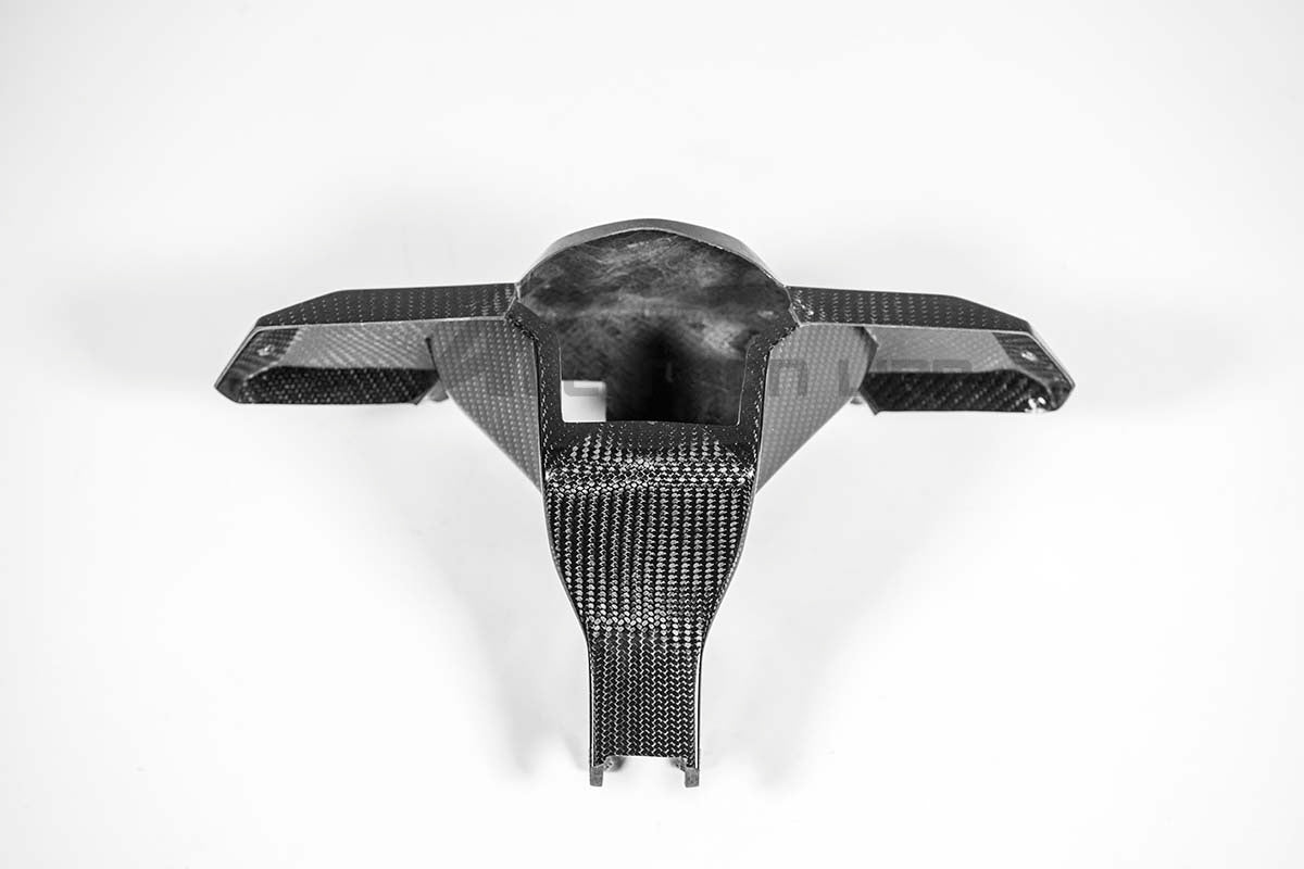 Držač instrumenata 200g AP Carbon Line Aprilia RSV4/RR/1100 Factory (21-25) 