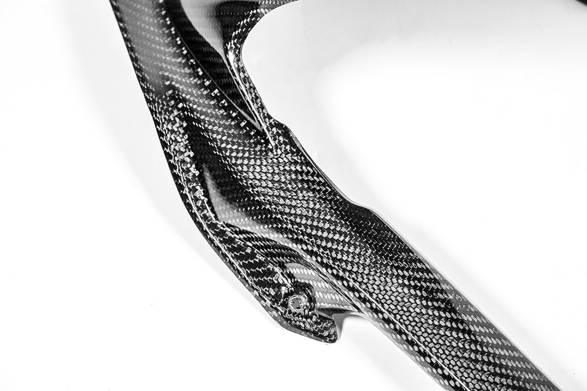 Stražnji blatobran 200g AP Carbon Line Ducati Panigale V4/S/R (25-26) 