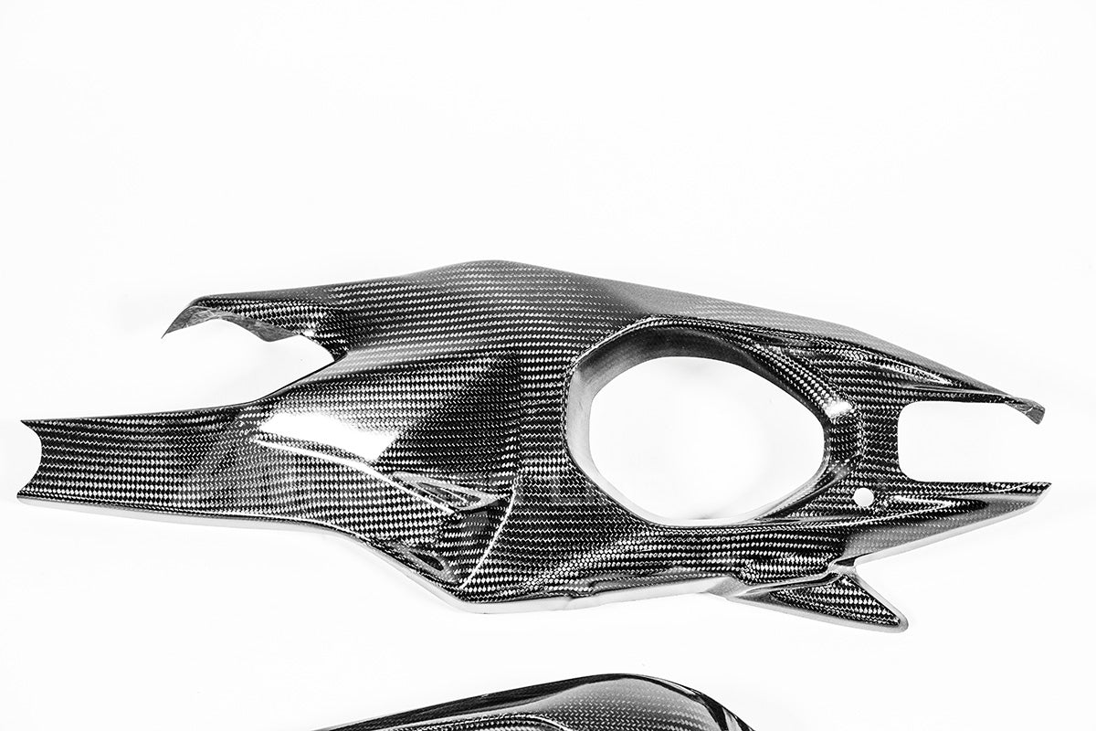 Pokrovi vilica 200g AP Carbon Line Ducati Panigale V4/S/R (25-26) 