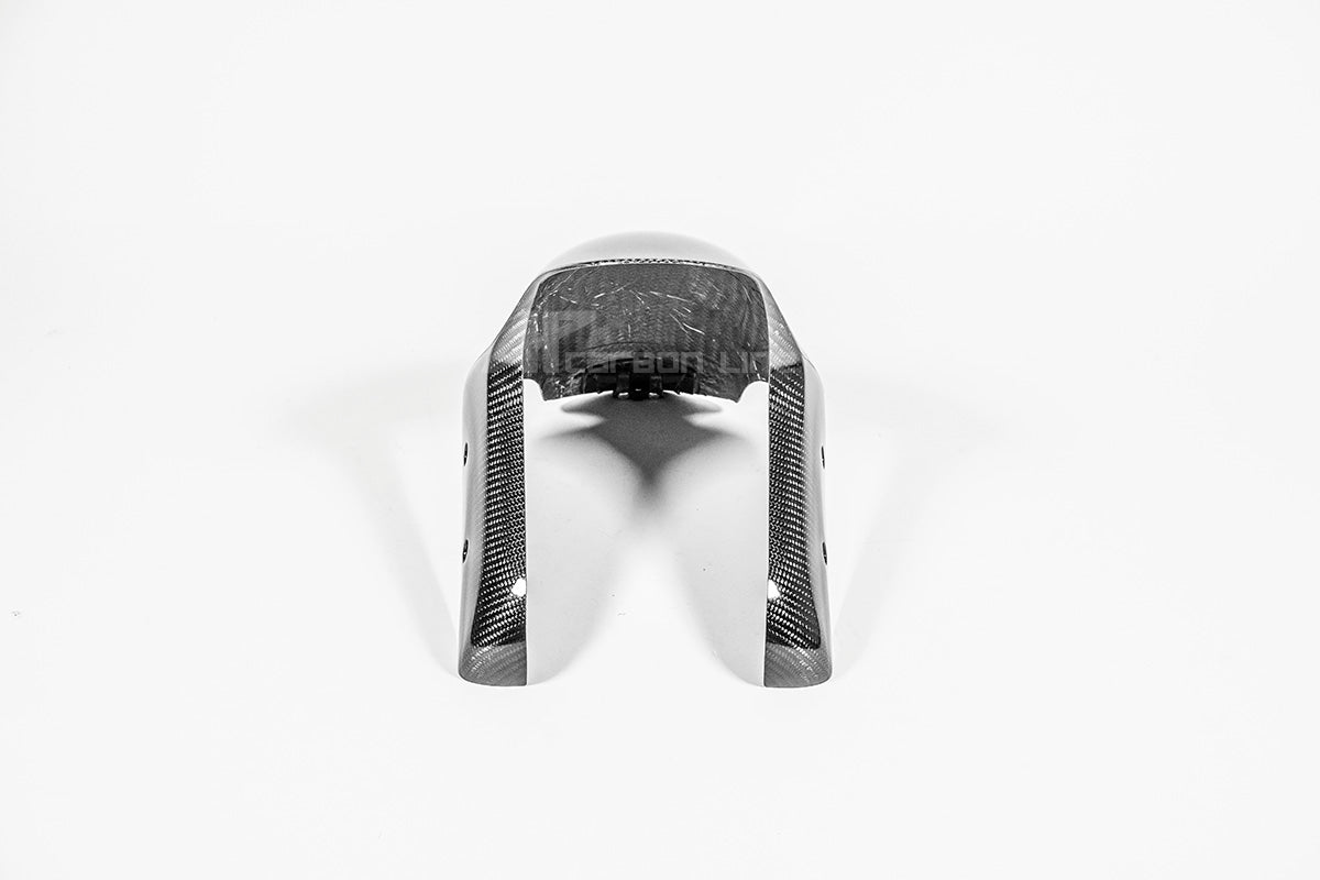 Prednji blatobran 200g AP Carbon Line Ducati Panigale V4/S/R (25-26) 