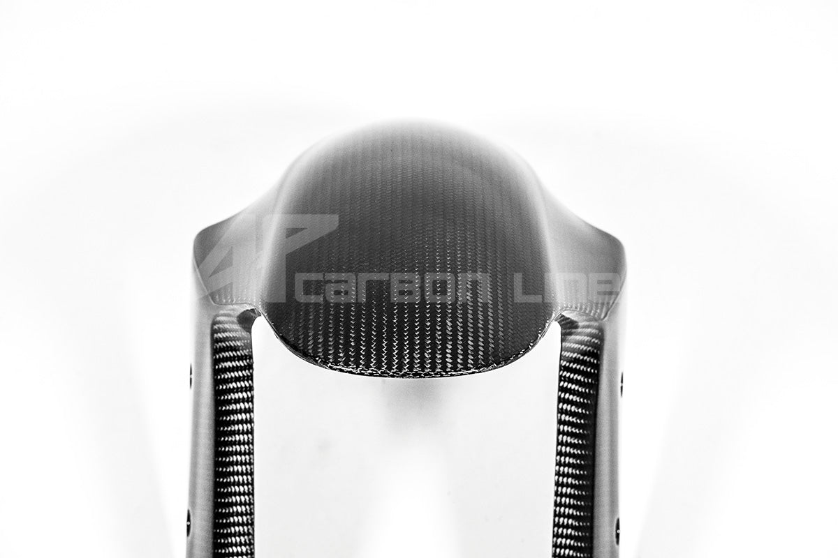 Prednji blatobran 200g AP Carbon Line Ducati Panigale V4/S/R (25-26) 