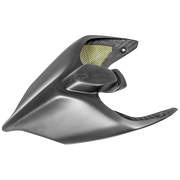 Karbon stražnji poklopac PlasticBike Ducati Panigale V2 955 (20-24) 