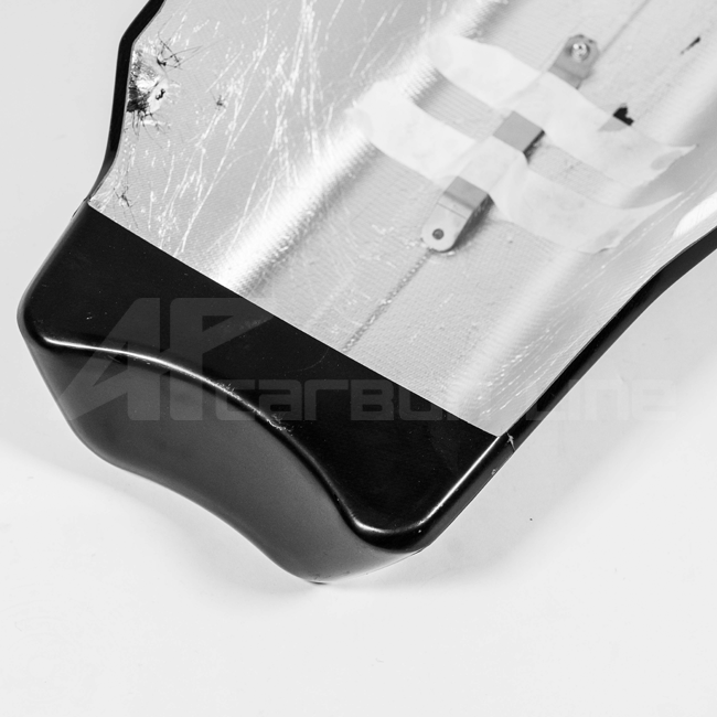 Bugspoiler Lavatex AP Carbon Line Ducati Panigale V4/S (25-26) 