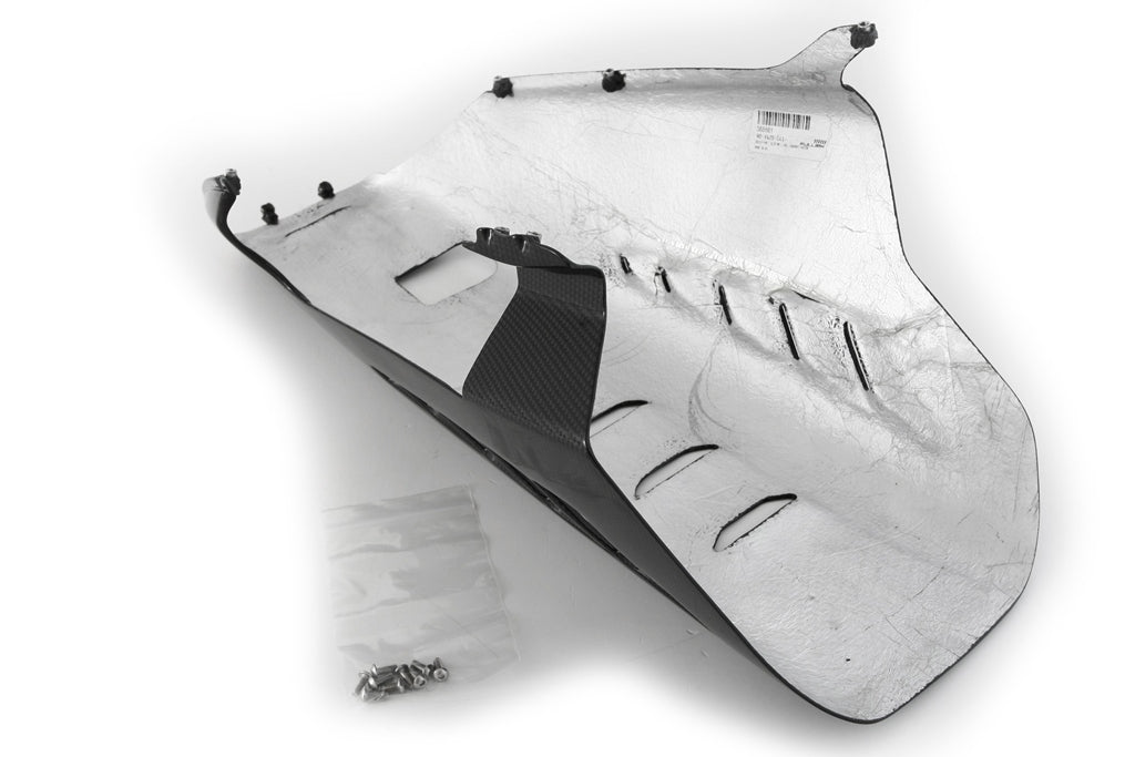 Bugspoiler Street Carbon Fullsix Ducati Panigale V4/S (25-26) 