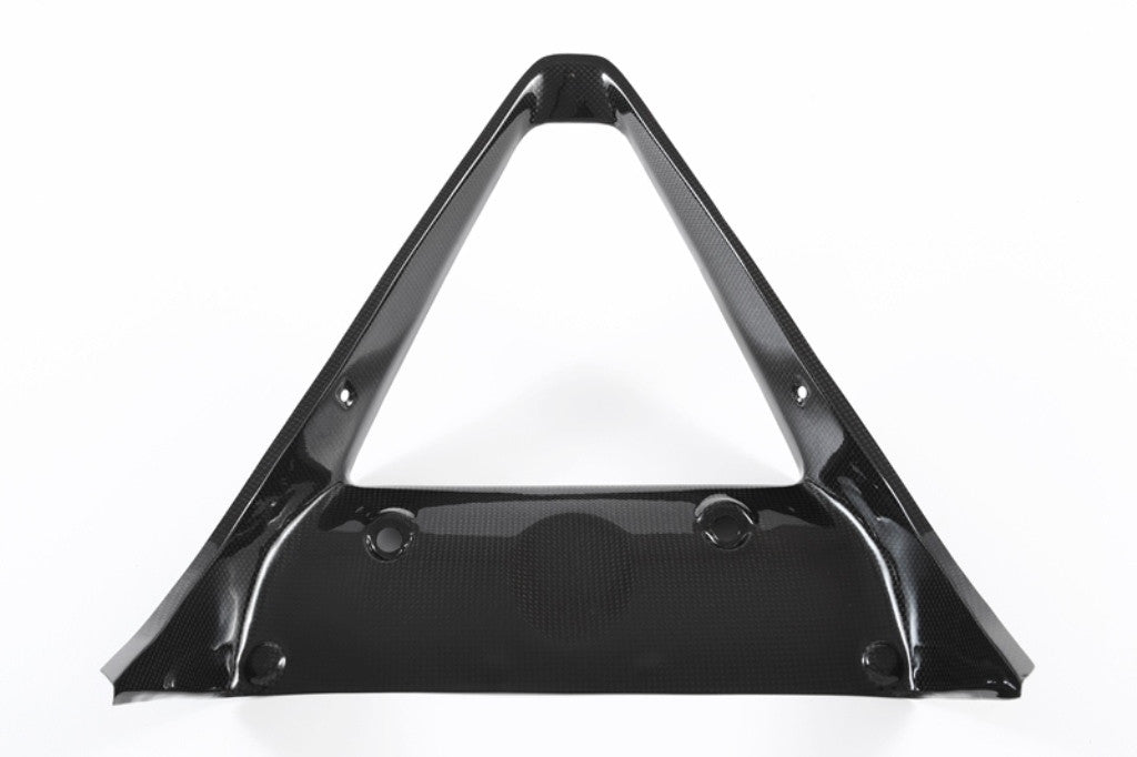 Karbon kapica hladnjaka Fullsix Ducati Panigale 1199/R/S (12-17) 
